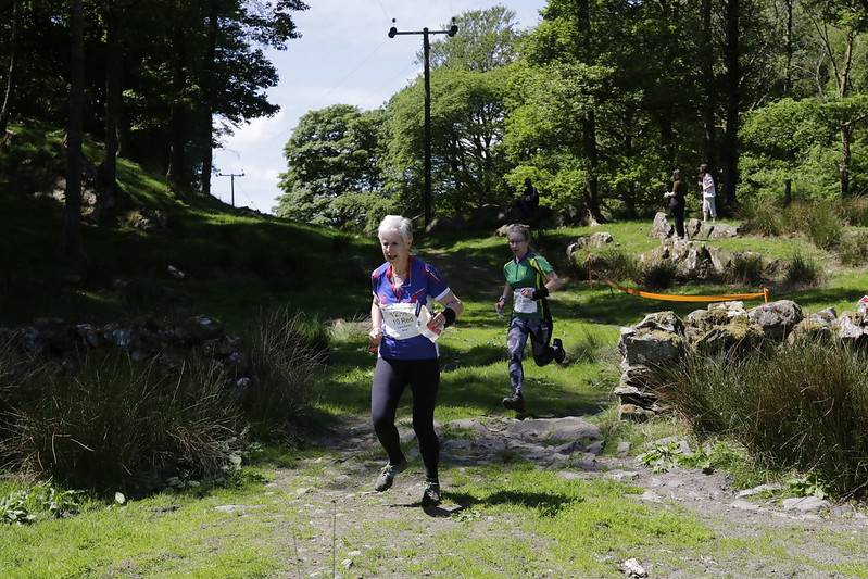 orienteering image