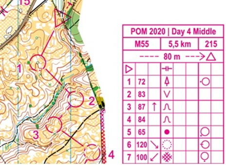orienteering image
