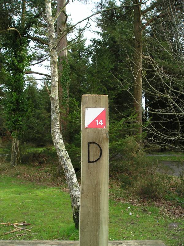 orienteering image