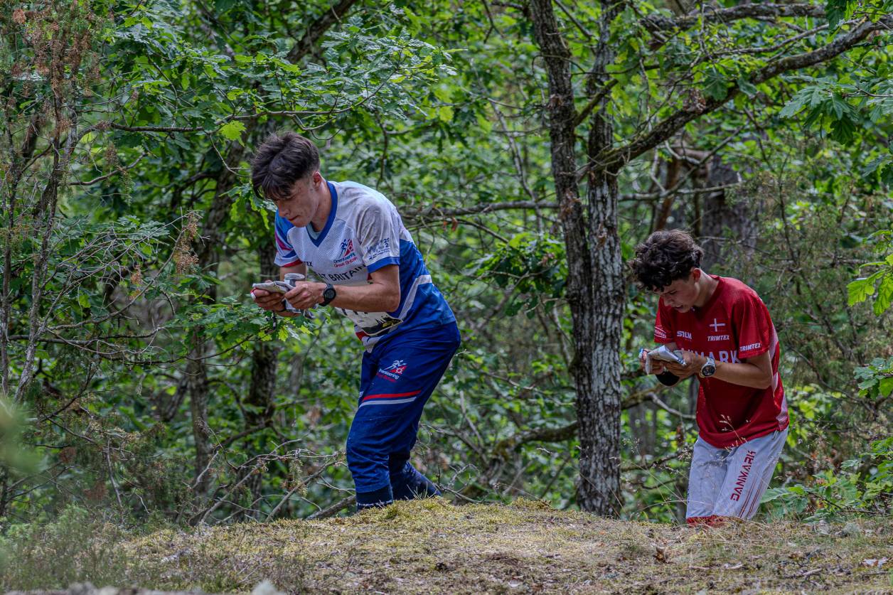 Orienteering Image