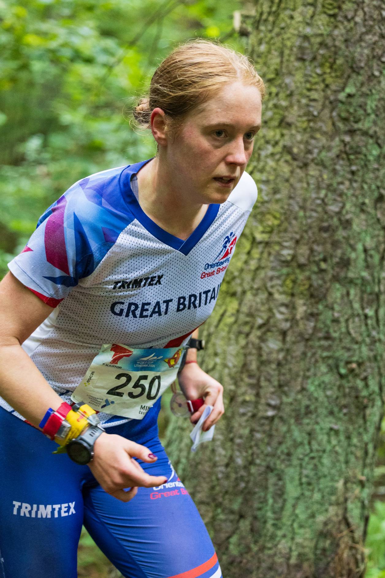 Orienteering Image
