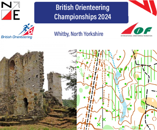 orienteering image