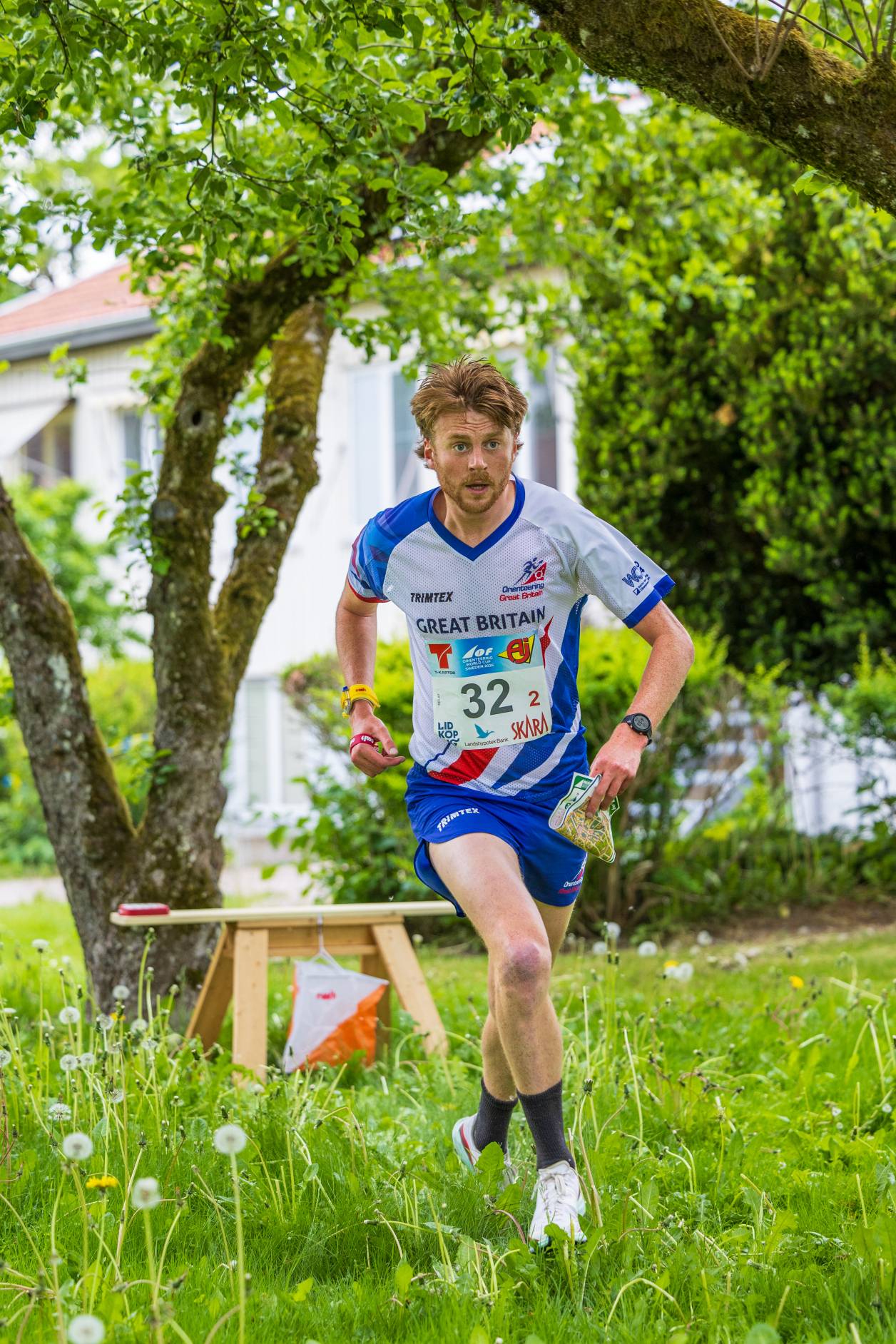 Orienteering Image