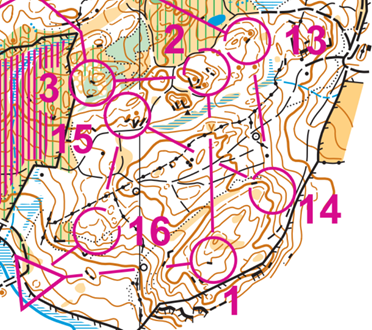 orienteering image