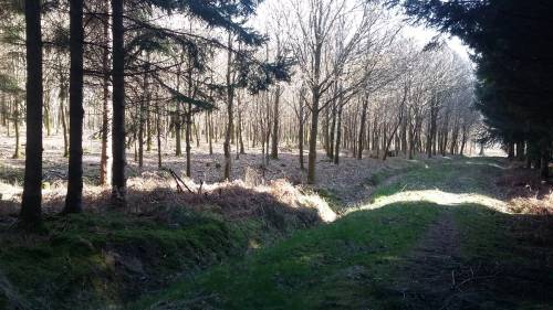 Sunday 23 February - final closing date for individual entries