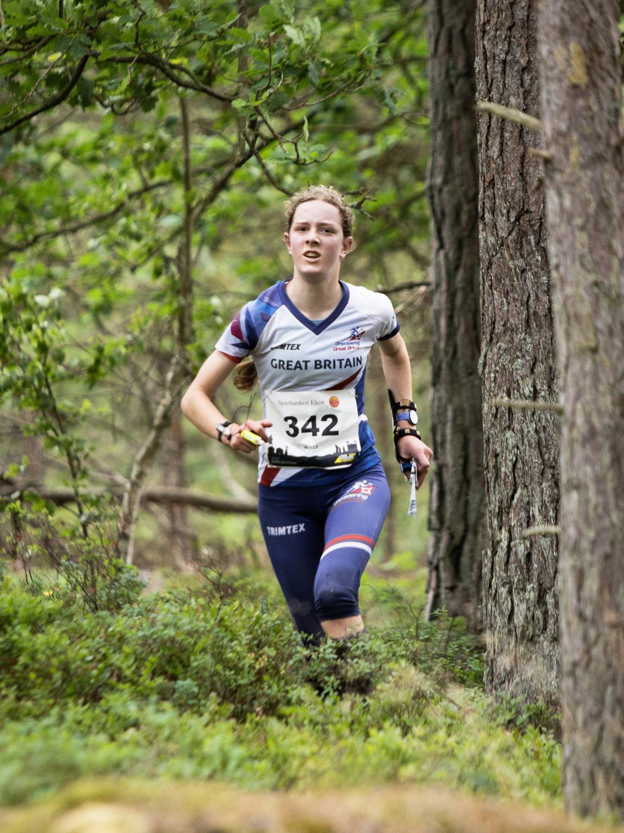 Orienteering Image