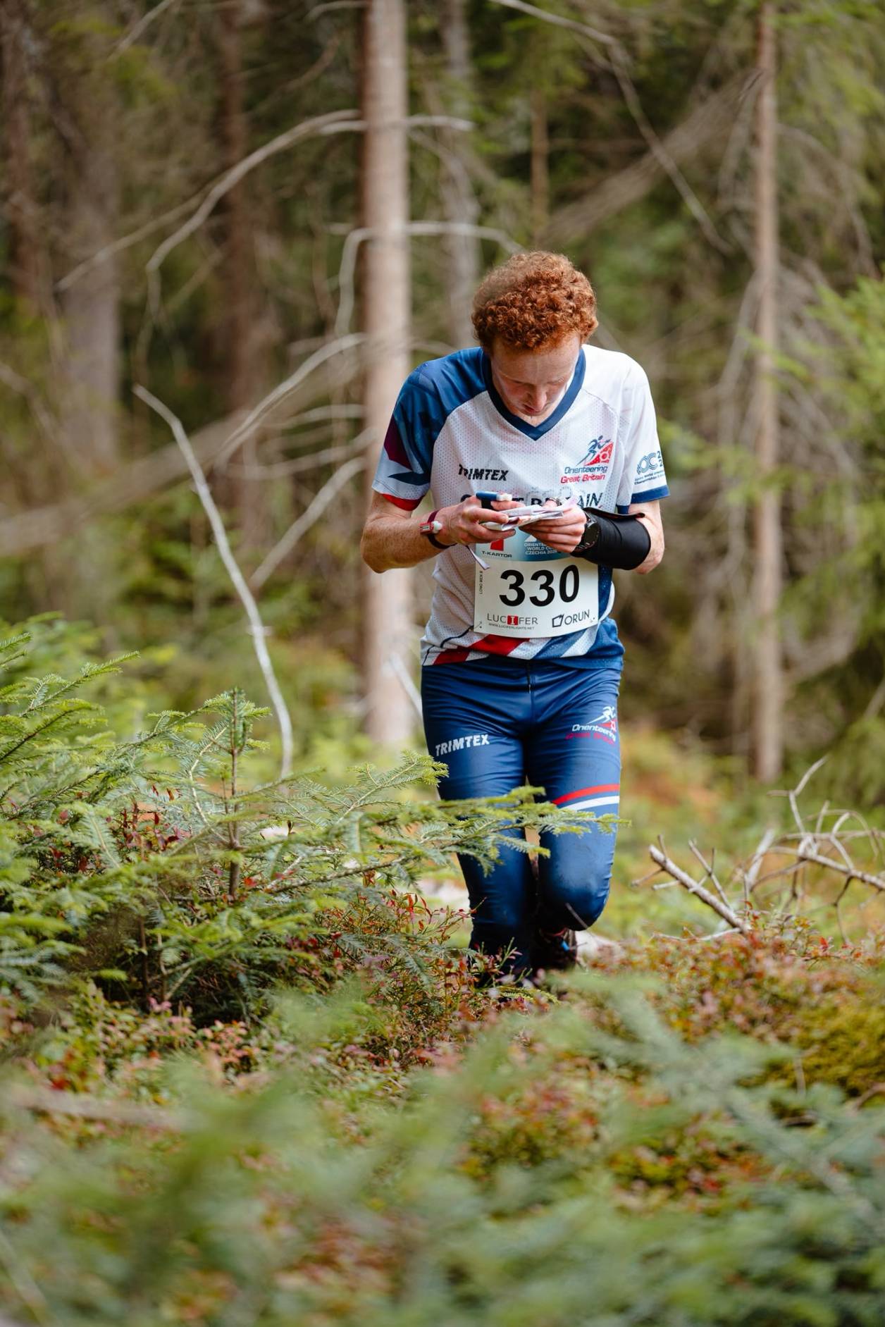 Orienteering Image
