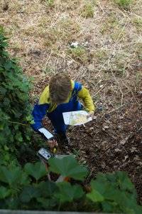 orienteering image