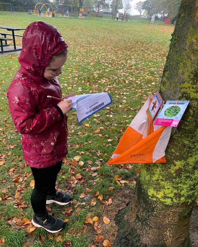 orienteering image