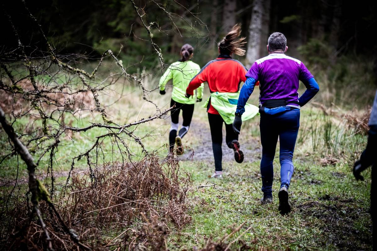 Photo Credit: Jerry Tatton