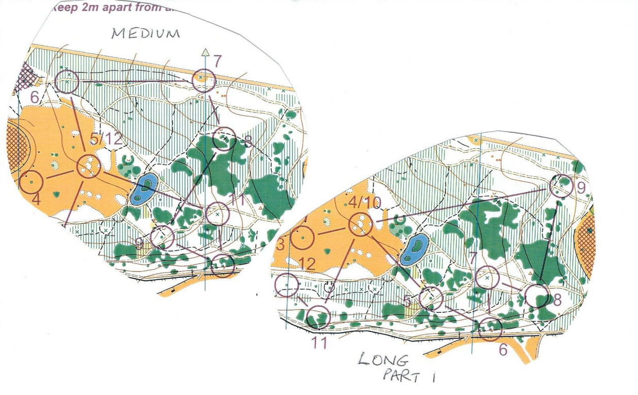 orienteering image