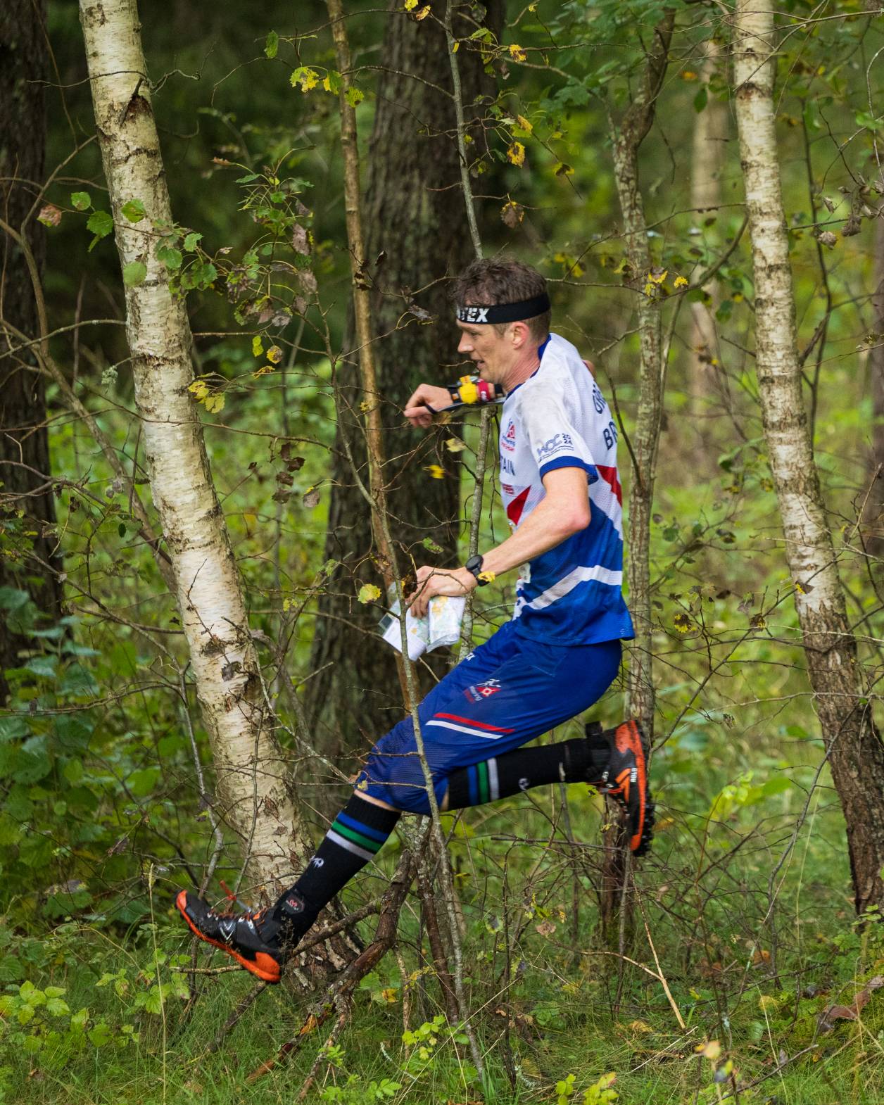Orienteering Image