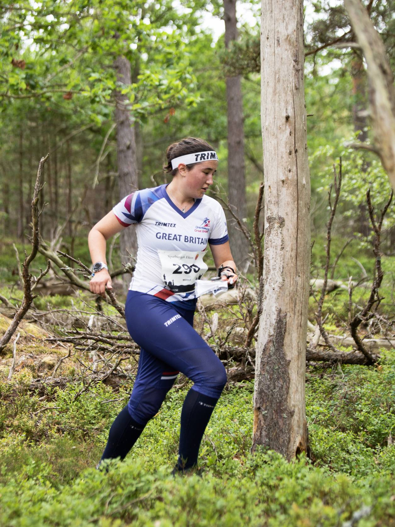 Orienteering Image
