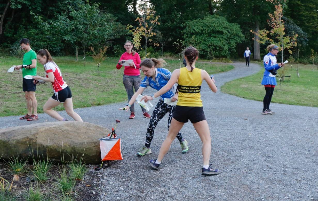 Orienteering Image