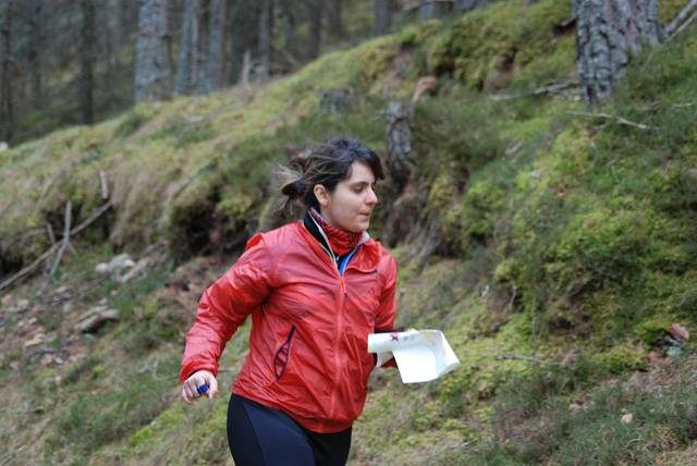 orienteering image