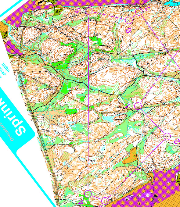orienteering image