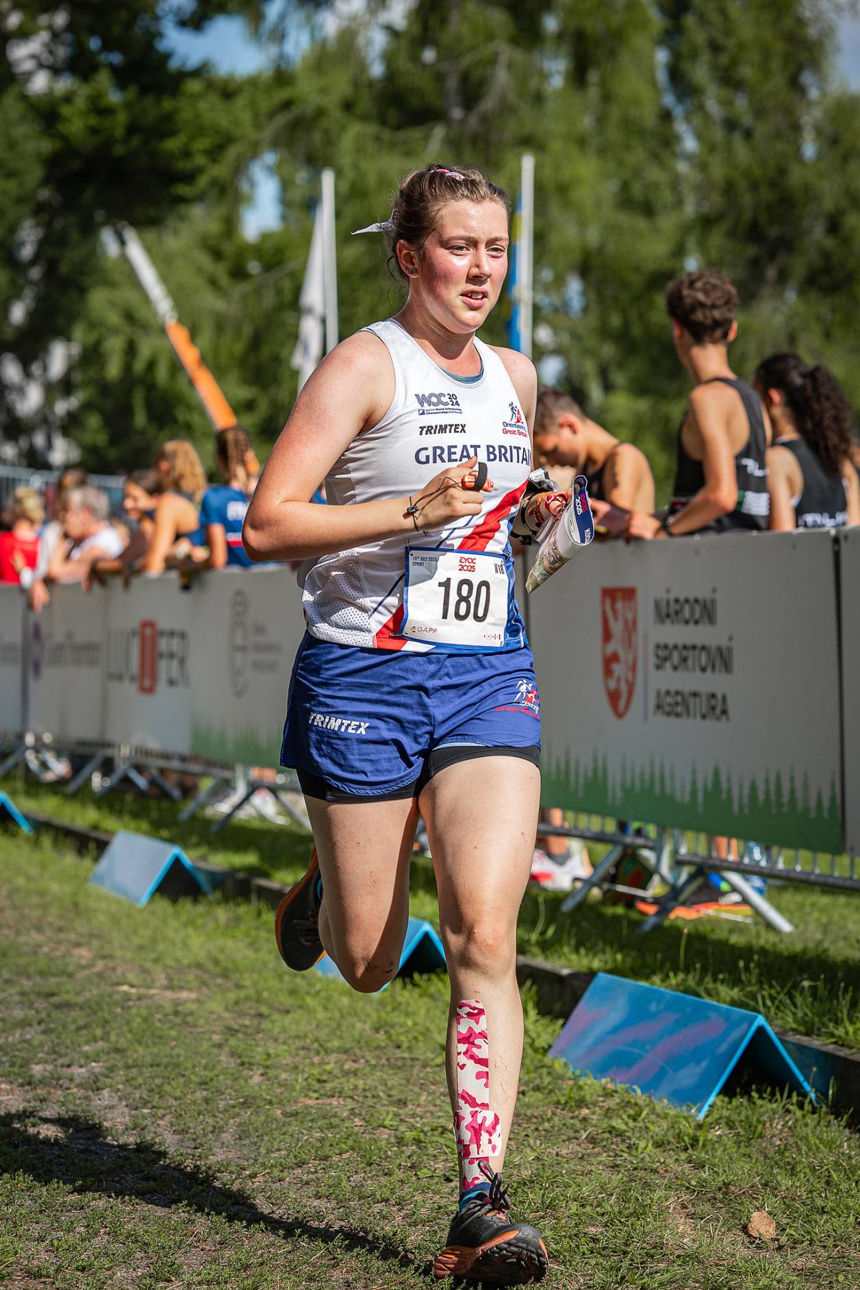 Orienteering Image