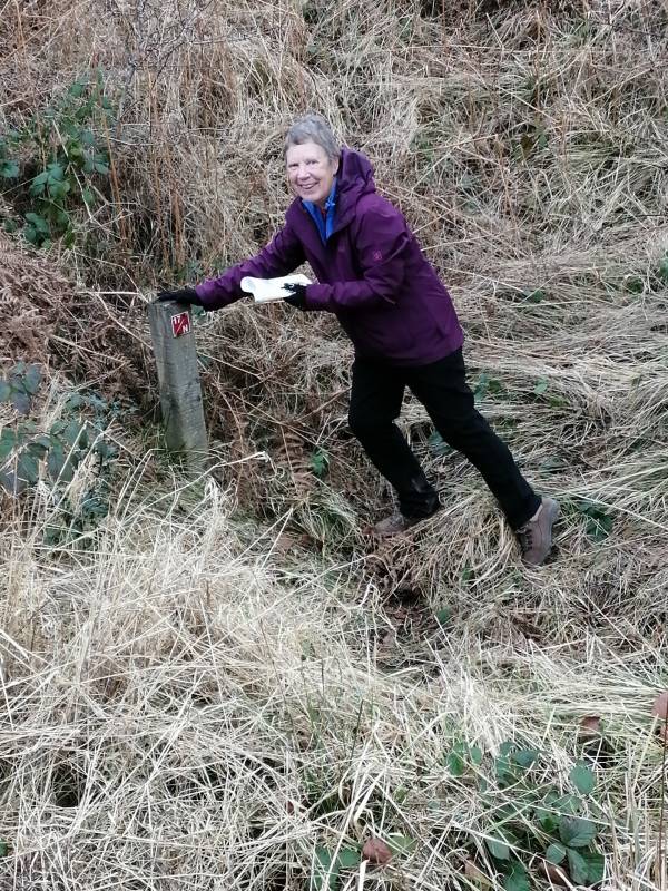 Hilary Palmer (Nottinghamshire Orienteering Club) 