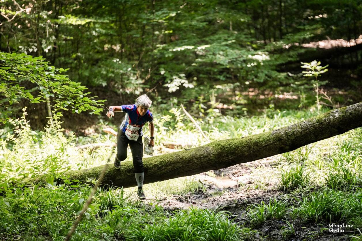 Orienteering Image