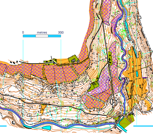 Orienteering Image