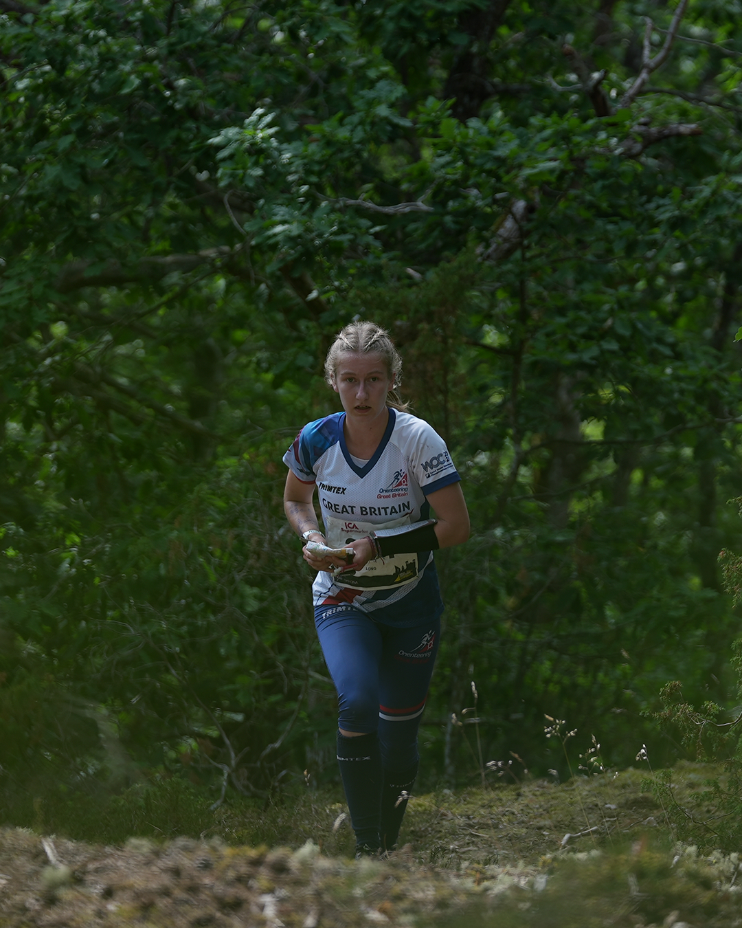 Orienteering Image