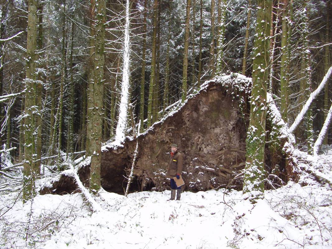 Rootstock at Cookworthy. Photo credit Christine Vince (KERNO)