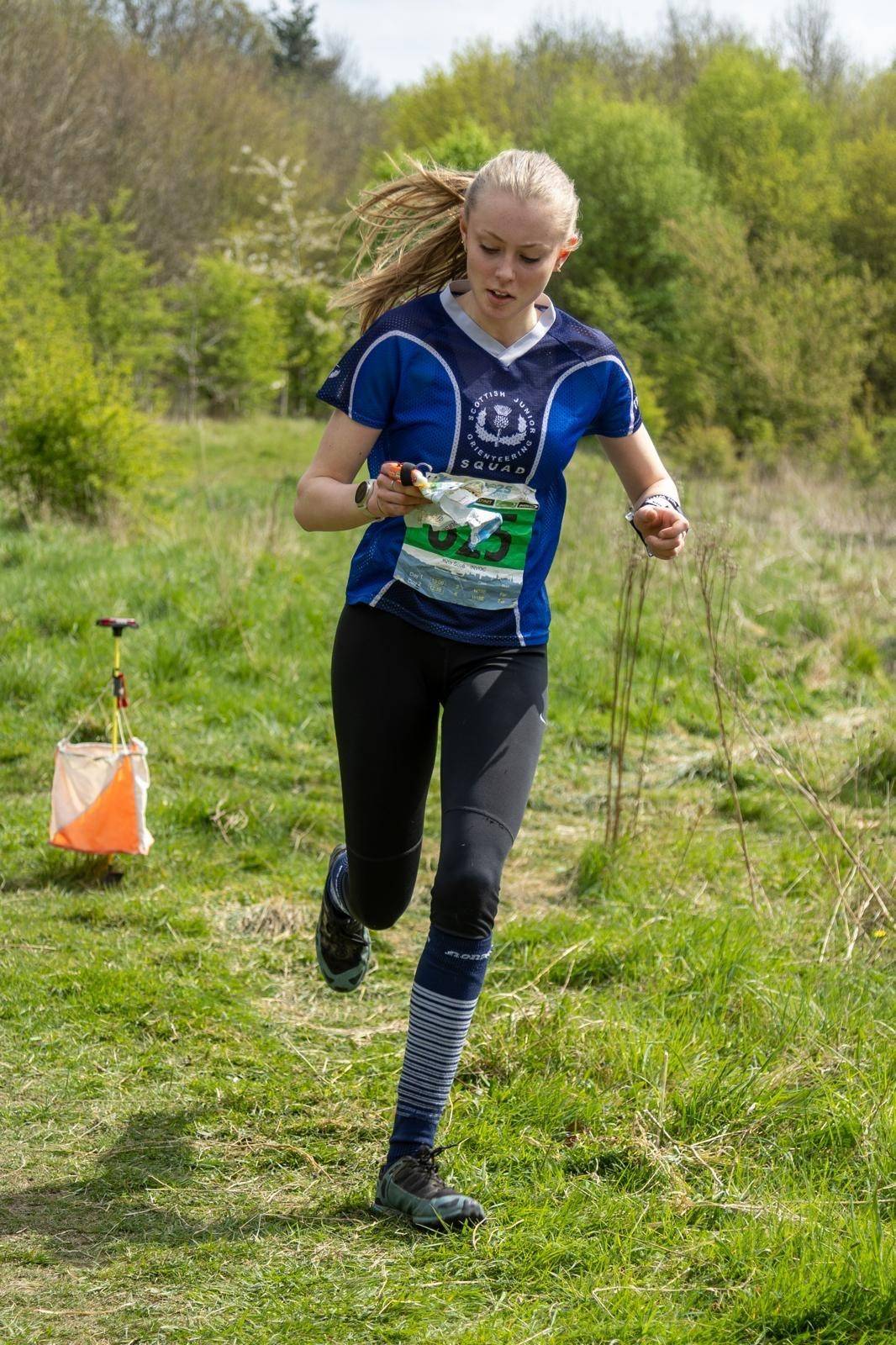 Orienteering Image