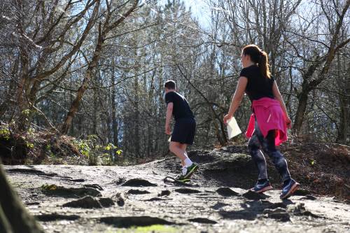 If you go down to the woods today... be sure to go orienteering