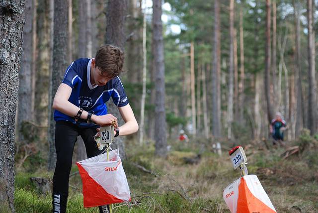 orienteering image