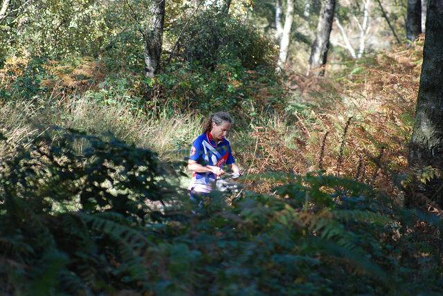 orienteering image