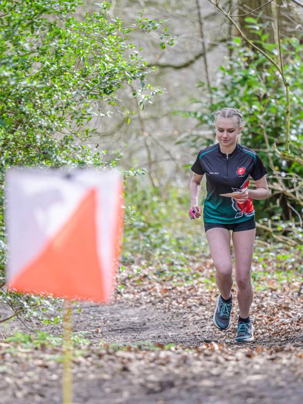 Orienteering Image