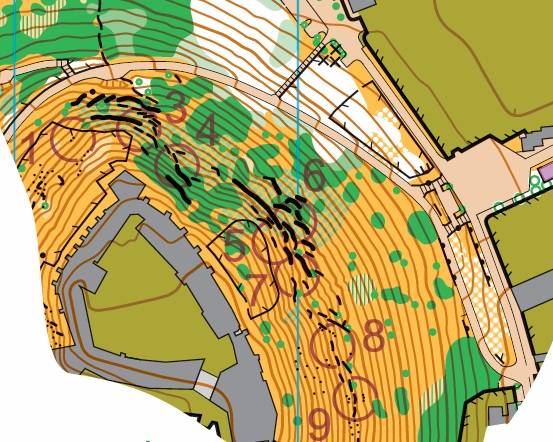 Orienteering Image