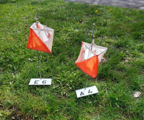 orienteering image