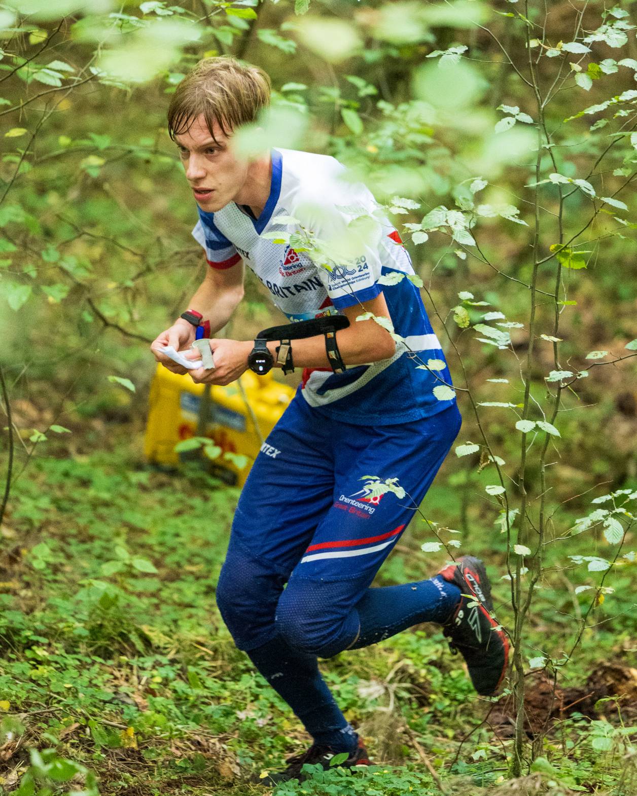 Orienteering Image