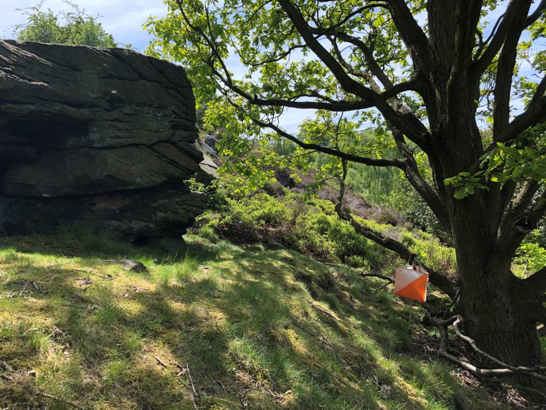 South Yorkshire Orienteers 