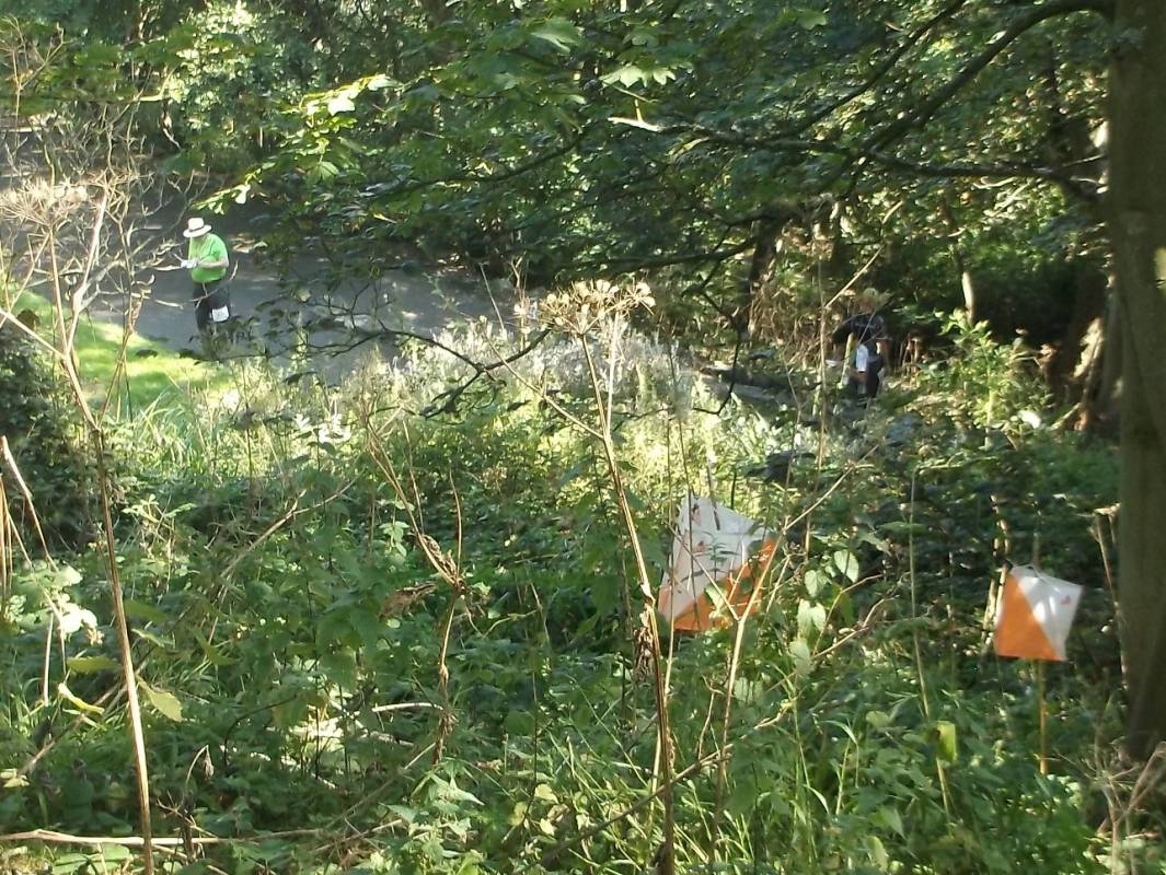 orienteering image