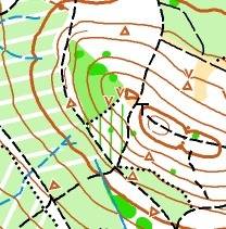 orienteering image