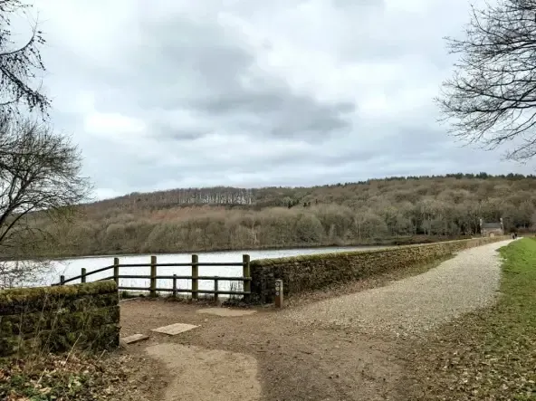 Orienteering Image