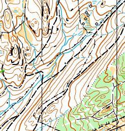Extract from Tarn Hows wood map