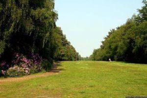 Sandringham Country Park / Royal Park