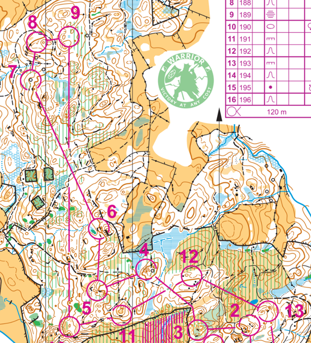 orienteering image