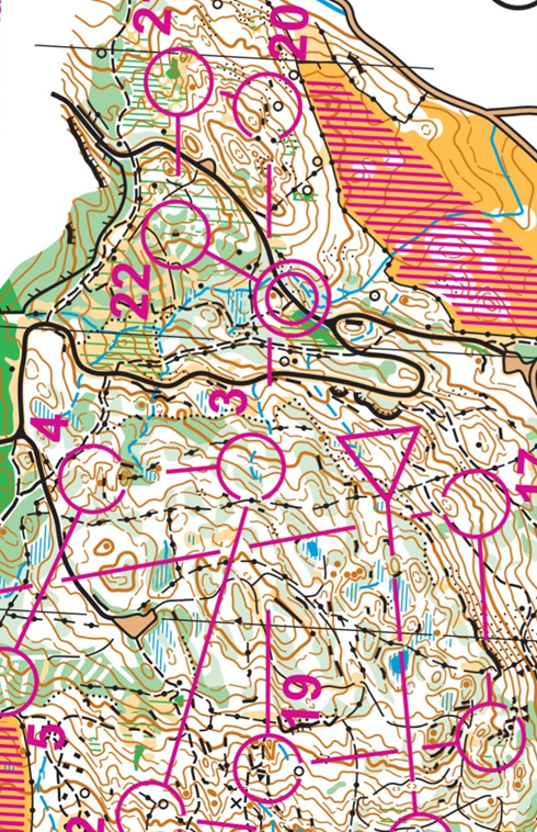 orienteering image