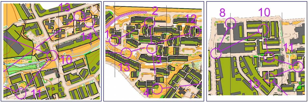 orienteering image