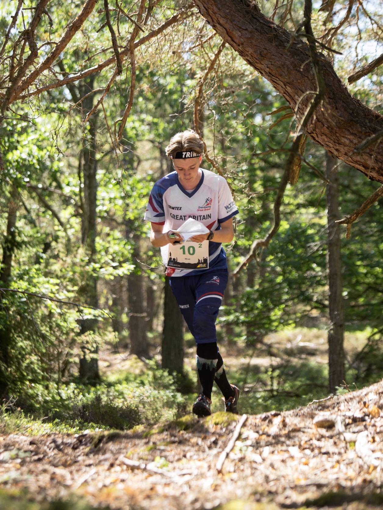 Orienteering Image