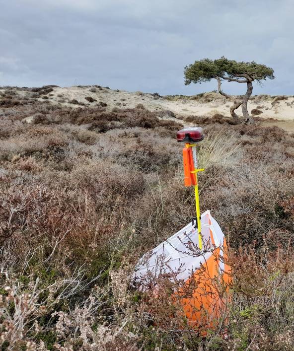 Orienteering Image