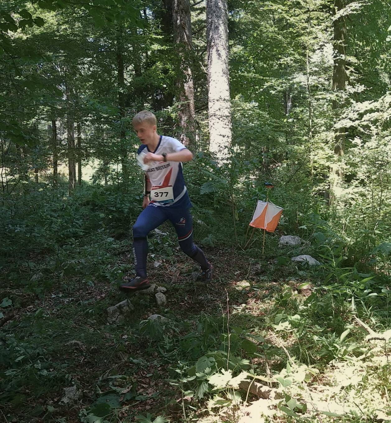 Orienteering Image