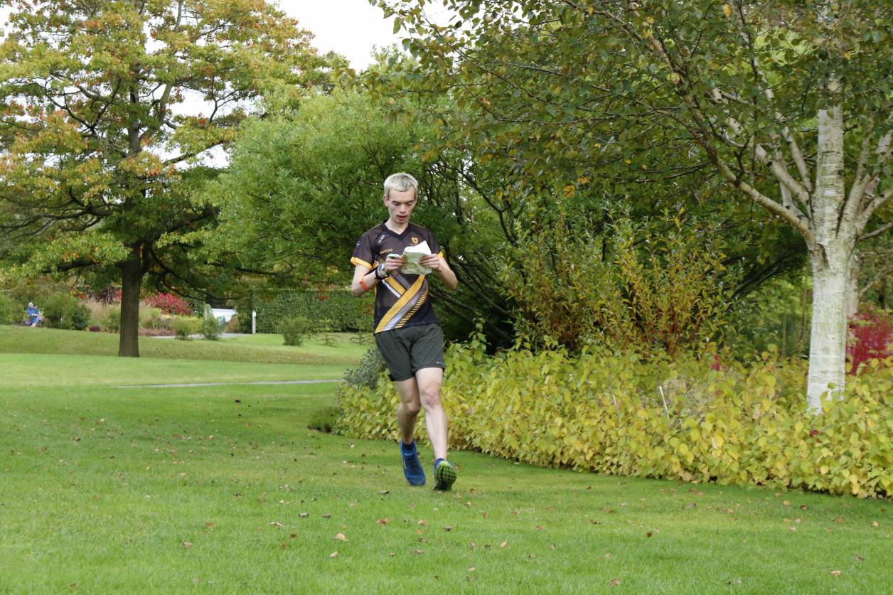Orienteering Image