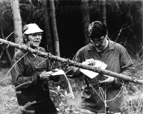 orienteering image