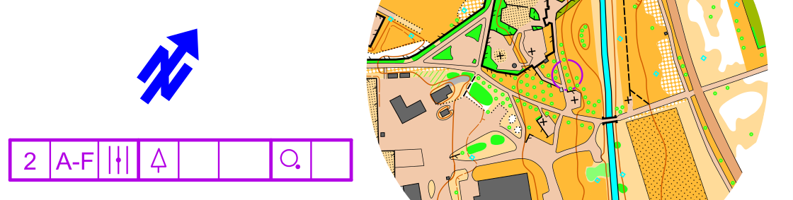 orienteering image