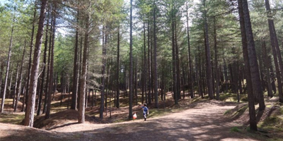 Event Spotlight: Scottish 6 Days